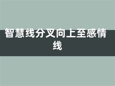 智慧线分叉向上至感情线