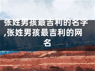 张姓男孩最吉利的名字,张姓男孩最吉利的网名