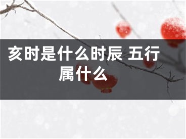 亥时是什么时辰 五行属什么 