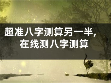 超准八字测算另一半,在线测八字测算