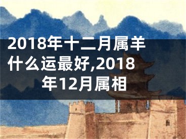 2018年十二月属羊什么运最好,2018年12月属相