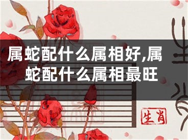 属蛇配什么属相好,属蛇配什么属相最旺