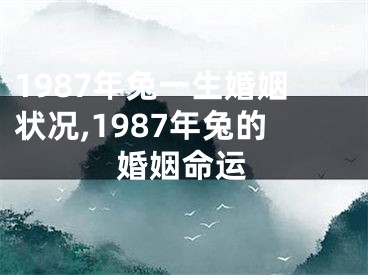 1987年兔一生婚姻状况,1987年兔的婚姻命运