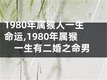 1980年属猴人一生命运,1980年属猴一生有二婚之命男