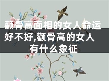 颧骨高面相的女人命运好不好,颧骨高的女人有什么象征