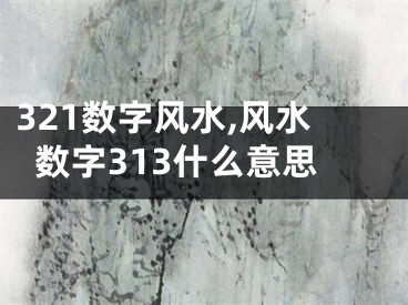 321数字风水,风水数字313什么意思