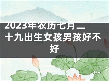 2023年农历七月二十九出生女孩男孩好不好