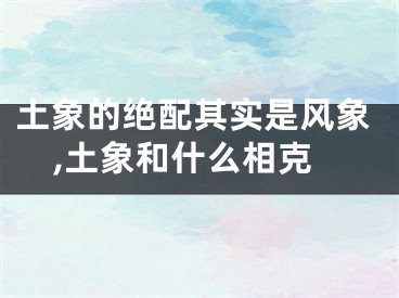 土象的绝配其实是风象,土象和什么相克