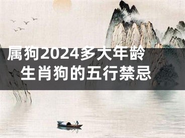 属狗2024多大年龄 生肖狗的五行禁忌