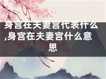 身宫在夫妻宫代表什么,身宫在夫妻宫什么意思