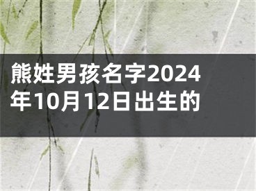 熊姓男孩名字2024年10月12日出生的