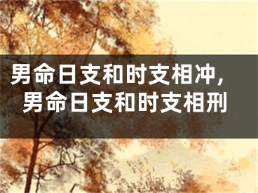 男命日支和时支相冲,男命日支和时支相刑