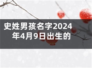 史姓男孩名字2024年4月9日出生的