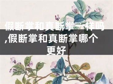 假断掌和真断掌一样吗,假断掌和真断掌哪个更好
