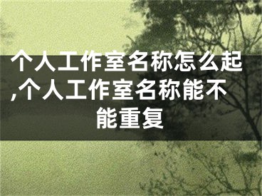 个人工作室名称怎么起,个人工作室名称能不能重复