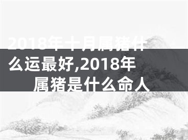 2018年十月属猪什么运最好,2018年属猪是什么命人