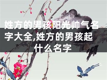 姓方的男孩阳光帅气名字大全,姓方的男孩起什么名字