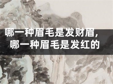 哪一种眉毛是发财眉,哪一种眉毛是发红的