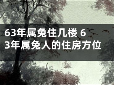 63年属兔住几楼 63年属兔人的住房方位