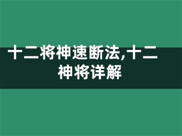 十二将神速断法,十二神将详解