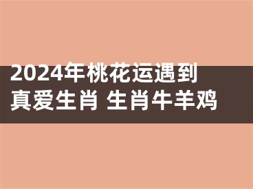 2024年桃花运遇到真爱生肖 生肖牛羊鸡