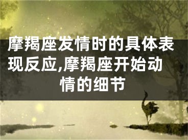 摩羯座发情时的具体表现反应,摩羯座开始动情的细节