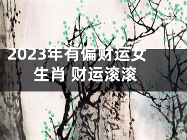 2023年有偏财运女生肖 财运滚滚