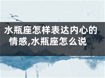 水瓶座怎样表达内心的情感,水瓶座怎么说