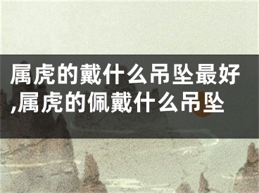属虎的戴什么吊坠最好,属虎的佩戴什么吊坠