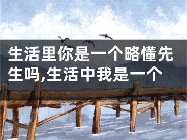 生活里你是一个略懂先生吗,生活中我是一个