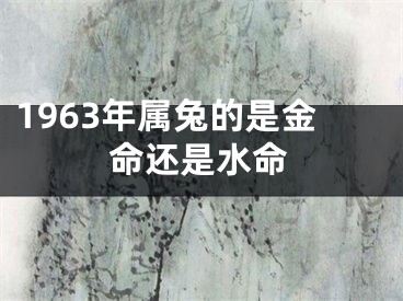 1963年属兔的是金命还是水命