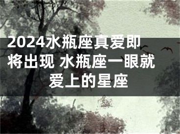 2024水瓶座真爱即将出现 水瓶座一眼就爱上的星座