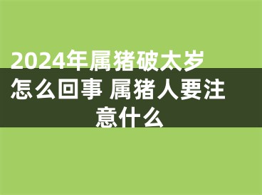 2024年属猪破太岁怎么回事 属猪人要注意什么
