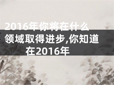 2016年你将在什么领域取得进步,你知道在2016年