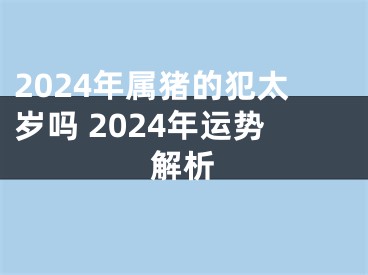 2024年属猪的犯太岁吗 2024年运势解析