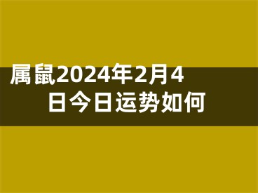 属鼠2024年2月4日今日运势如何