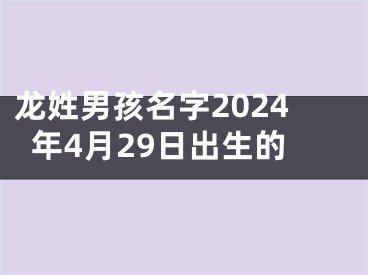 龙姓男孩名字2024年4月29日出生的