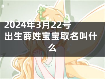 2024年3月22号出生薛姓宝宝取名叫什么