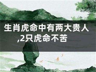 生肖虎命中有两大贵人,2只虎命不苦