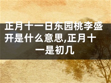 正月十一日东园桃李盛开是什么意思,正月十一是初几