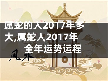 属蛇的人2017年多大,属蛇人2017年全年运势运程