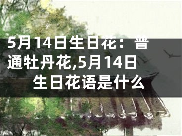 5月14日生日花：普通牡丹花,5月14日生日花语是什么