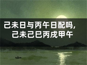 己未日与丙午日配吗,己未己巳丙戌甲午