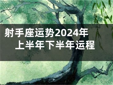 射手座运势2024年上半年下半年运程