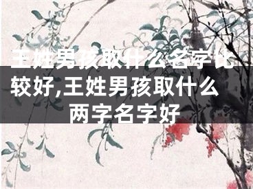 王姓男孩取什么名字比较好,王姓男孩取什么两字名字好