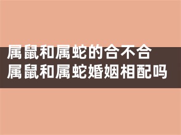 属鼠和属蛇的合不合 属鼠和属蛇婚姻相配吗