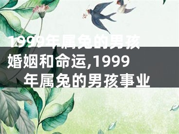 1999年属兔的男孩婚姻和命运,1999年属兔的男孩事业