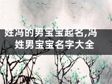 姓冯的男宝宝起名,冯姓男宝宝名字大全