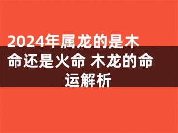 2024年属龙的是木命还是火命 木龙的命运解析