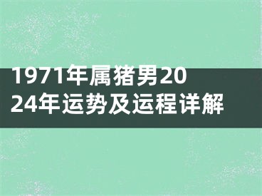 1971年属猪男2024年运势及运程详解